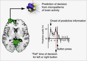 Brain areas that predict decisions.  By John-Dylan Haynes.  Wired.