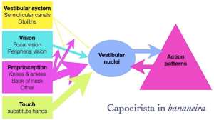 Equilibrium in bananeira, speculative.