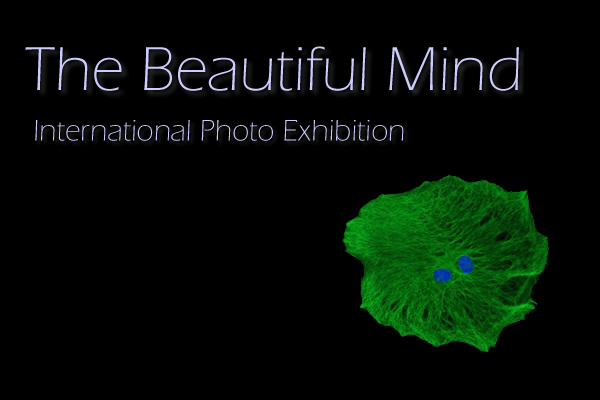 beautiful-mind-exhibit