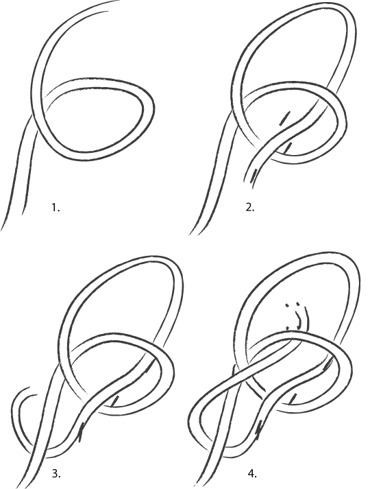 bowline_in_four_steps