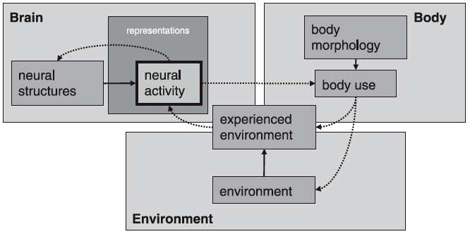 westermanndiagram Westermann et al. 2007: 79, Fig. 3: 'Embodiment'