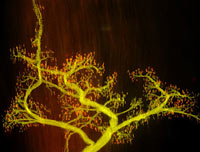 SLresearch3 SLresearch3