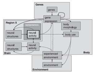 Figure 4 from Westermann et al. 2007