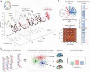 Neurostat Patterns Neuronal Systems as Networks – Neuroanthropology